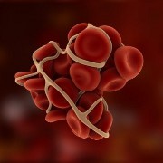 Blood Clots related image